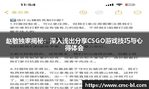 赵敏独家揭秘：深入浅出分享CSGO游戏技巧与心得体会